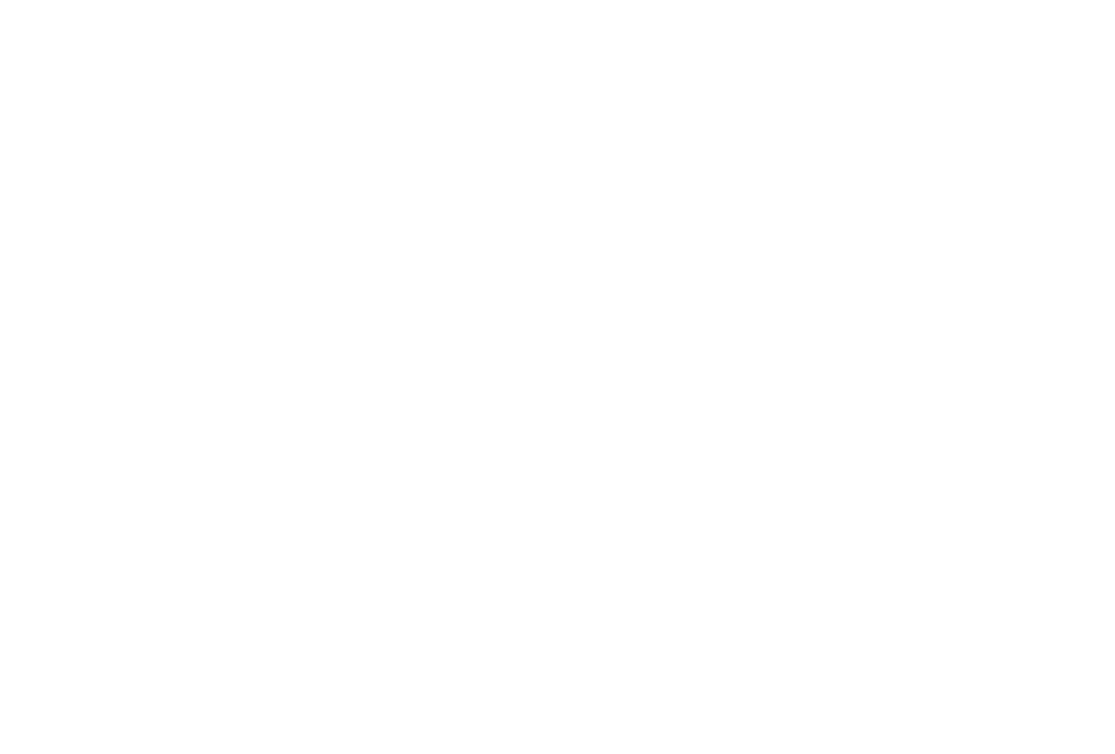 Mammoth Digital Media